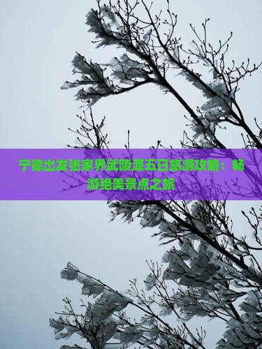 宁德出发张家界武陵源五日旅游攻略：畅游绝美景点之旅