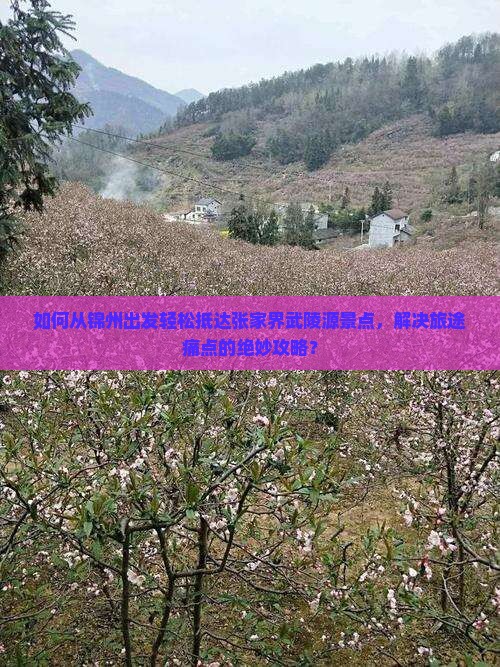 如何从锦州出发轻松抵达张家界武陵源景点，解决旅途痛点的绝妙攻略？