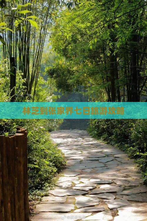 林芝到张家界七日旅游攻略