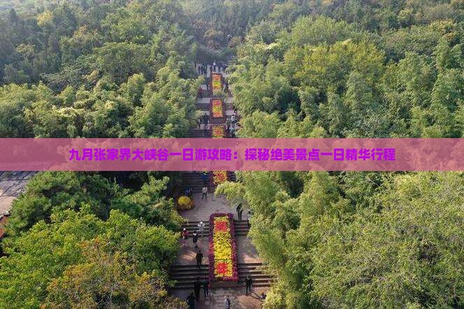 九月张家界大峡谷一日游攻略：探秘绝美景点一日精华行程