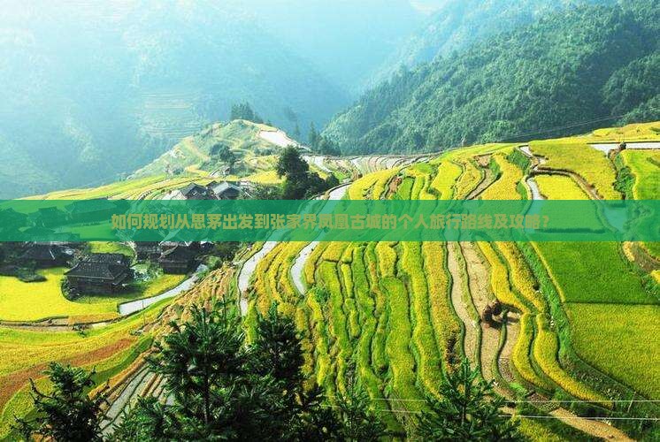 如何规划从思茅出发到张家界凤凰古城的个人旅行路线及攻略？