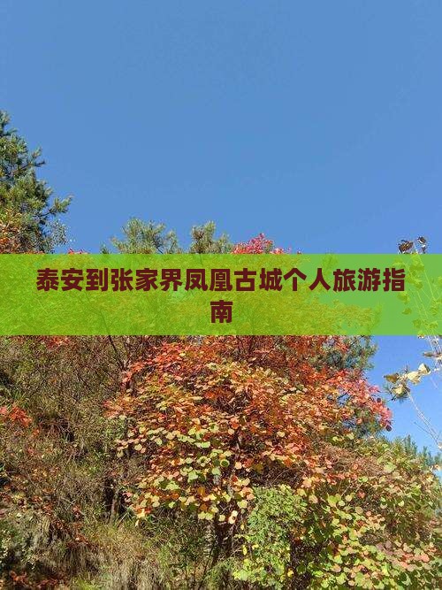 泰安到张家界凤凰古城个人旅游指南