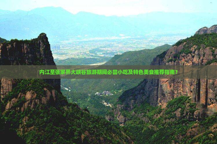 内江至张家界大峡谷旅游期间必尝小吃及特色美食推荐指南？