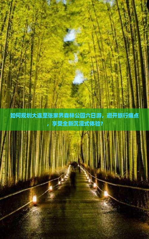 如何规划大连至张家界森林公园六日游，避开旅行痛点，享受全新沉浸式体验？