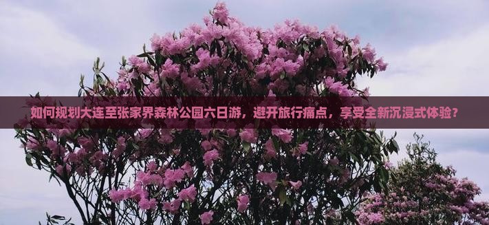 如何规划大连至张家界森林公园六日游，避开旅行痛点，享受全新沉浸式体验？