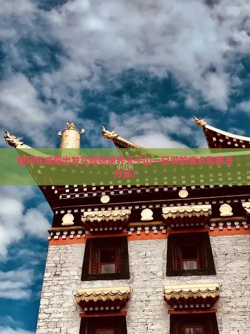如何在咸阳出发实现张家界天子山一日游的痛点和解决方案？
