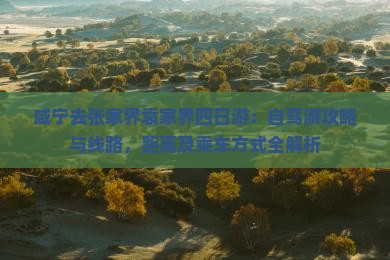 咸宁去张家界袁家界四日游：自驾游攻略与线路，距离及乘车方式全解析