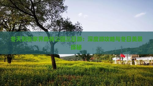 冬天到张家界森林公园三日游：深度游攻略与冬日美景探秘