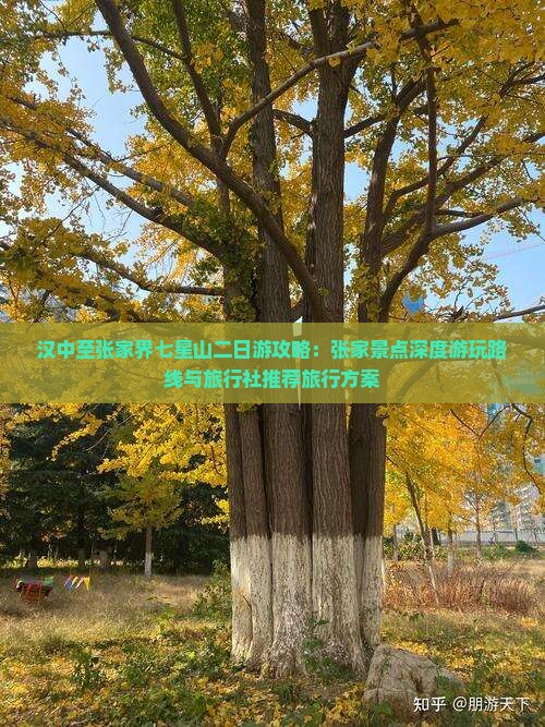 汉中至张家界七星山二日游攻略：张家景点深度游玩路线与旅行社推荐旅行方案