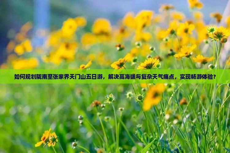 如何规划陇南至张家界天门山五日游，解决高海拔与复杂天气痛点，实现畅游体验？