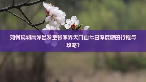 如何规划鹰潭出发至张家界天门山七日深度游的行程与攻略？