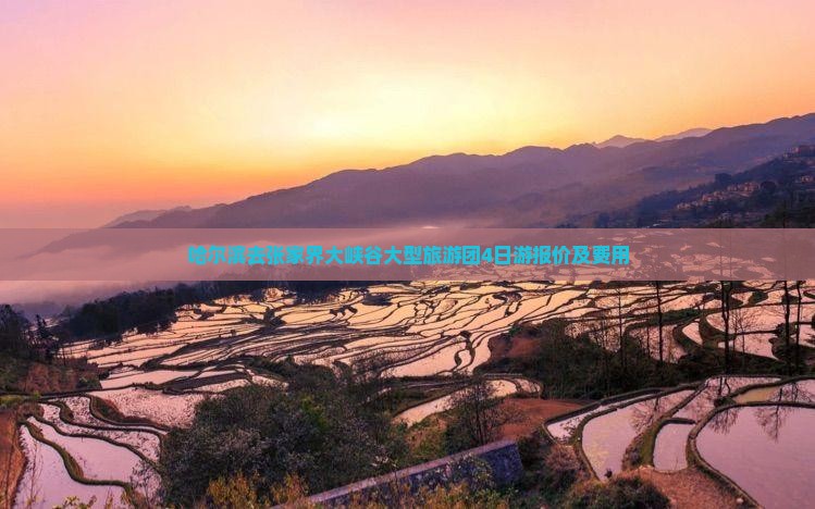哈尔滨去张家界大峡谷大型旅游团4日游报价及费用