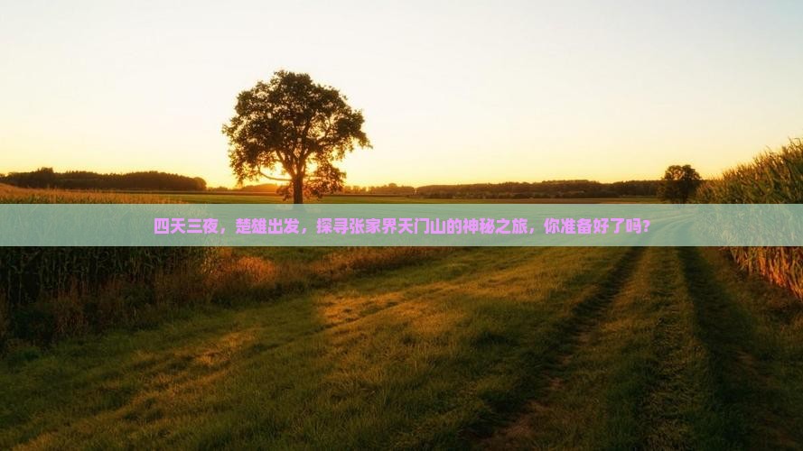 四天三夜，楚雄出发，探寻张家界天门山的神秘之旅，你准备好了吗？