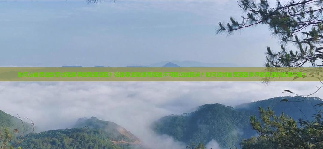 如何从自贡出发前往张家界武陵源景区？张家界武陵源有哪些不可错过的景点？如何规划自贡至张家界武陵源的旅游行程？