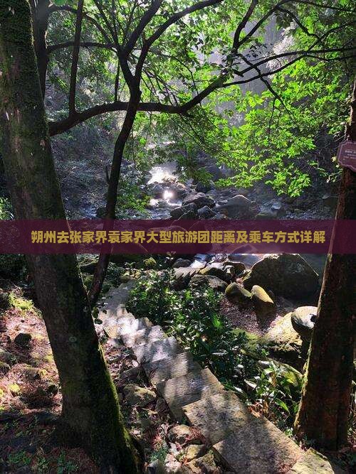 朔州去张家界袁家界大型旅游团距离及乘车方式详解
