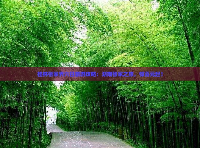 桂林张家界六日旅游攻略：湖南张家之旅，惊喜元起！