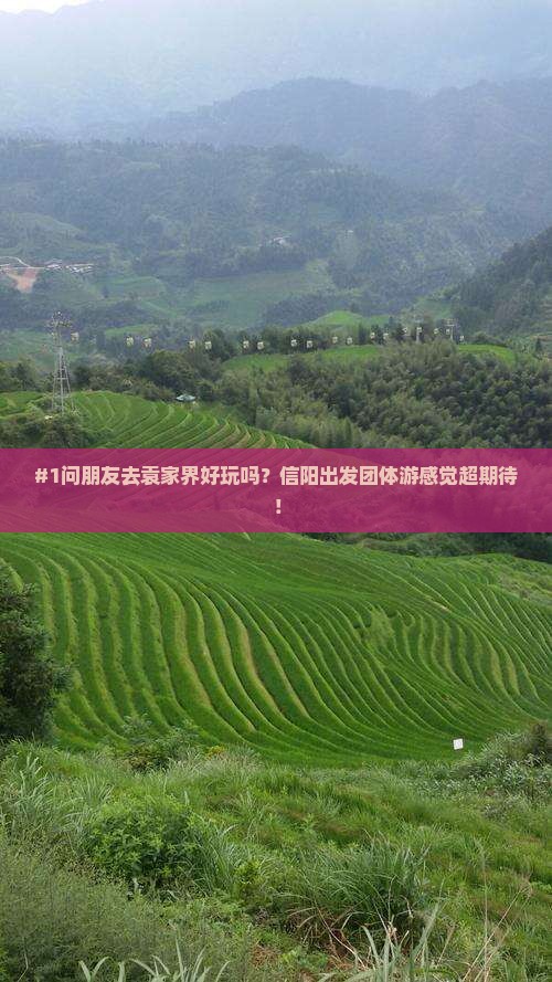 #1问朋友去袁家界好玩吗？信阳出发团体游感觉超期待！