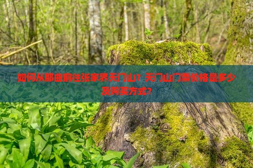 如何从那曲前往张家界天门山？天门山门票价格是多少及购买方式？