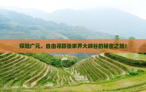 探险广元，自由寻踪张家界大峡谷的秘密之旅！