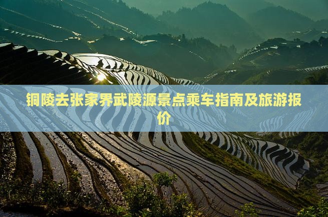铜陵去张家界武陵源景点乘车指南及旅游报价