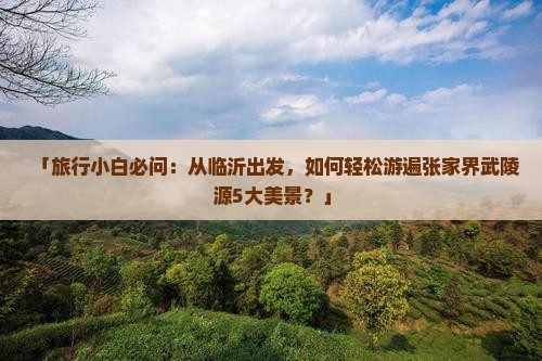 「旅行小白必问：从临沂出发，如何轻松游遍张家界武陵源5大美景？」