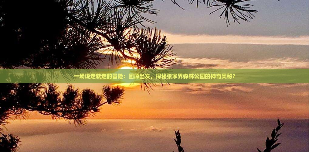 一场说走就走的冒险：固原出发，探秘张家界森林公园的神奇奥秘？