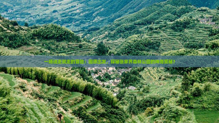 一场说走就走的冒险：固原出发，探秘张家界森林公园的神奇奥秘？