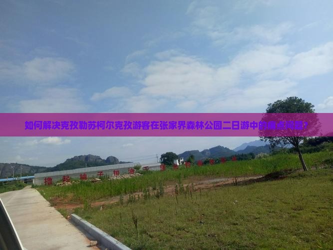 如何解决克孜勒苏柯尔克孜游客在张家界森林公园二日游中的痛点问题？