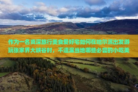 作为一名资深旅行美食爱好宅如何在哈尔滨出发游玩张家界大峡谷时，不遗漏当地哪些必尝的小吃美食？