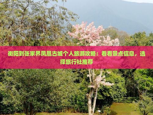 衡阳到张家界凤凰古城个人旅游攻略：看看景点信息，选择旅行社推荐