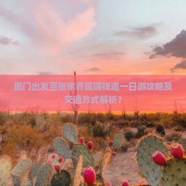 厦门出发至张家界玻璃栈道一日游攻略及交通方式解析？