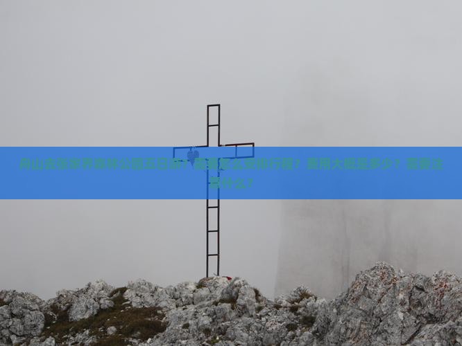 舟山去张家界森林公园五日游？需要怎么安排行程？费用大概是多少？需要注意什么？