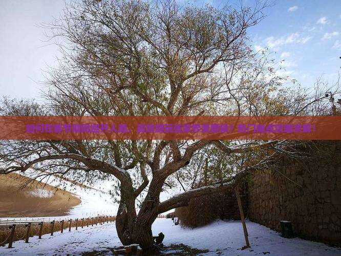如何在春节期间避开人潮，高效游玩张家界芙蓉镇？热门痛点攻略求解！