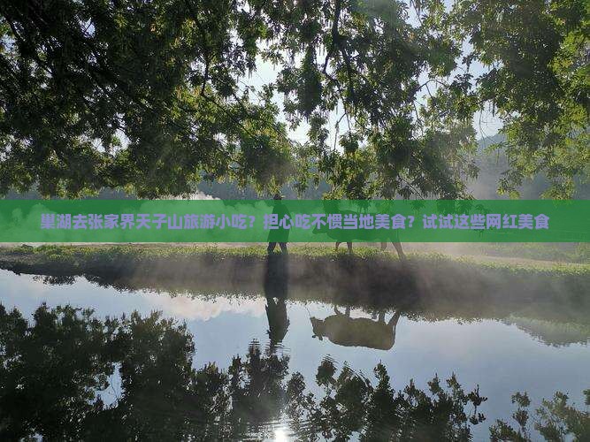 巢湖去张家界天子山旅游小吃？担心吃不惯当地美食？试试这些网红美食