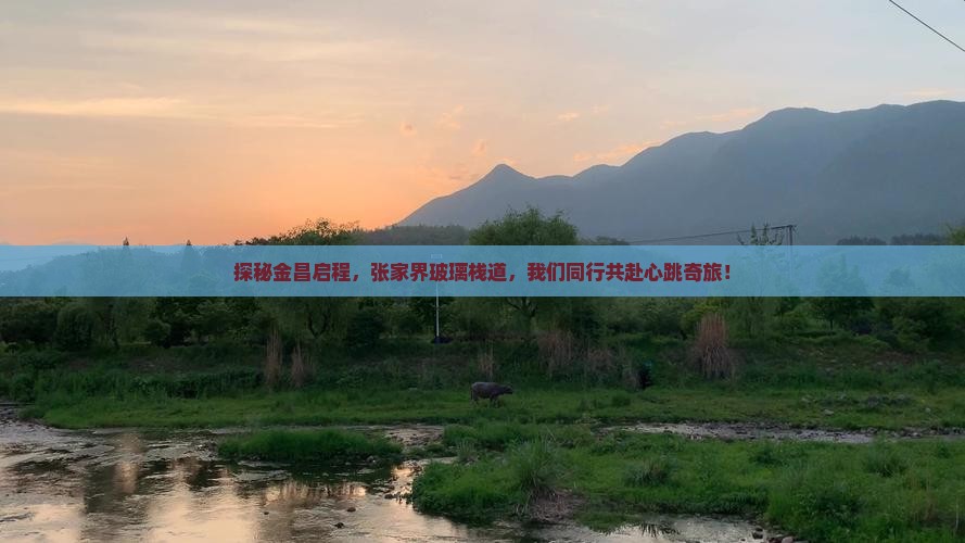 探秘金昌启程，张家界玻璃栈道，我们同行共赴心跳奇旅！