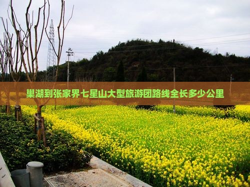 巢湖到张家界七星山大型旅游团路线全长多少公里