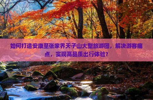 如何打造安康至张家界天子山大型旅游团，解决游客痛点，实现高品质出行体验？