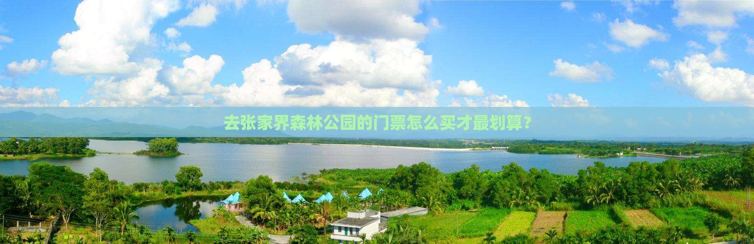 去张家界森林公园的门票怎么买才最划算？