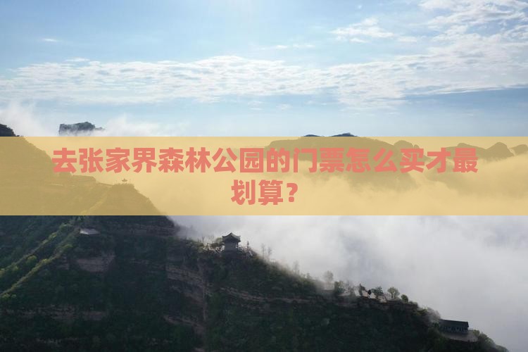 去张家界森林公园的门票怎么买才最划算？