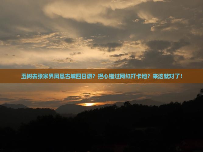 玉树去张家界凤凰古城四日游？担心错过网红打卡地？来这就对了！