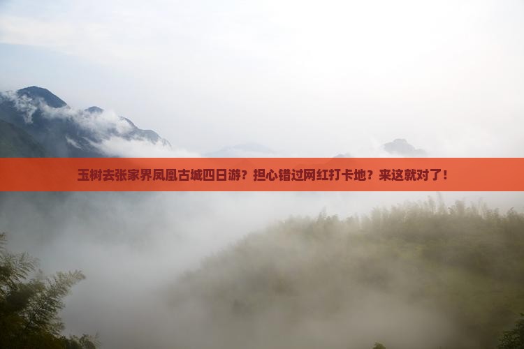 玉树去张家界凤凰古城四日游？担心错过网红打卡地？来这就对了！