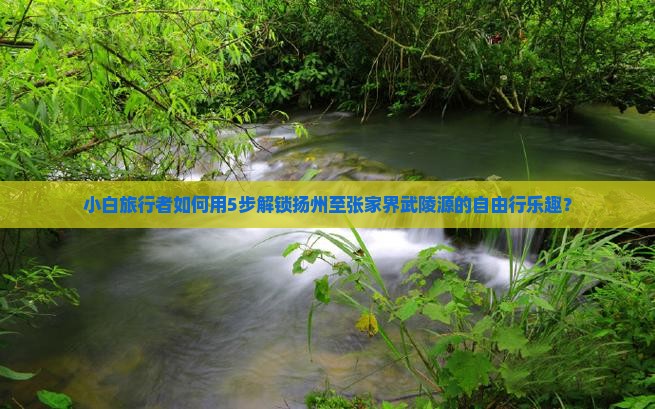 小白旅行者如何用5步解锁扬州至张家界武陵源的自由行乐趣？