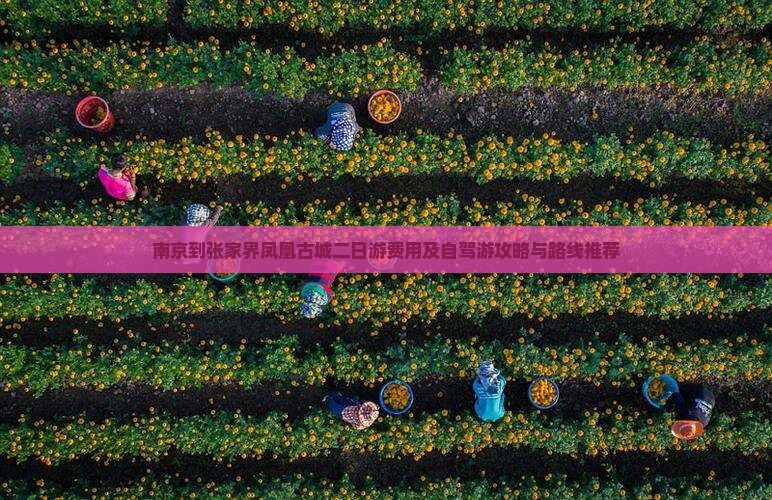 南京到张家界凤凰古城二日游费用及自驾游攻略与路线推荐