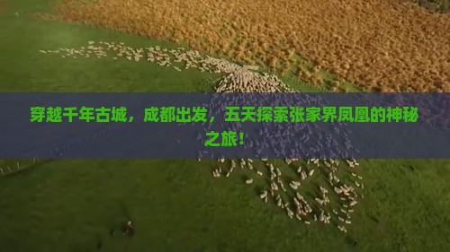 穿越千年古城，成都出发，五天探索张家界凤凰的神秘之旅！