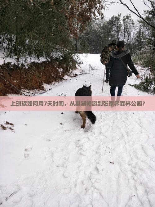 上班族如何用7天时间，从巢湖畅游到张家界森林公园？
