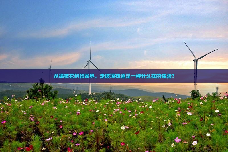 从攀枝花到张家界，走玻璃栈道是一种什么样的体验？