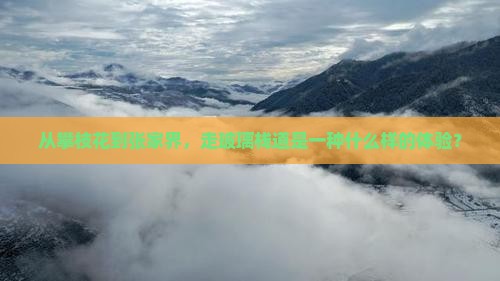从攀枝花到张家界，走玻璃栈道是一种什么样的体验？
