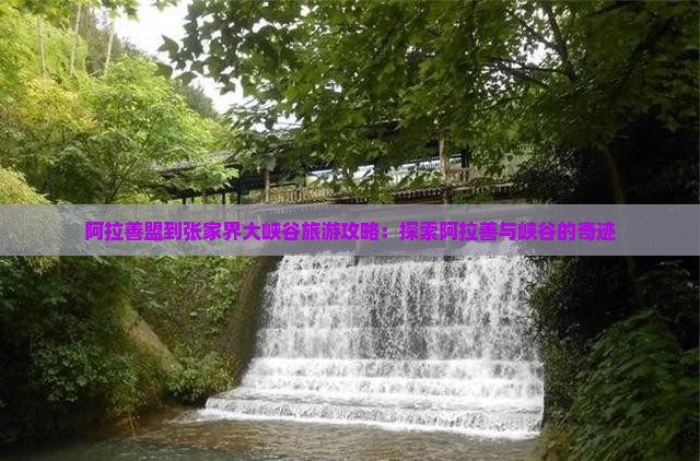 阿拉善盟到张家界大峡谷旅游攻略：探索阿拉善与峡谷的奇迹