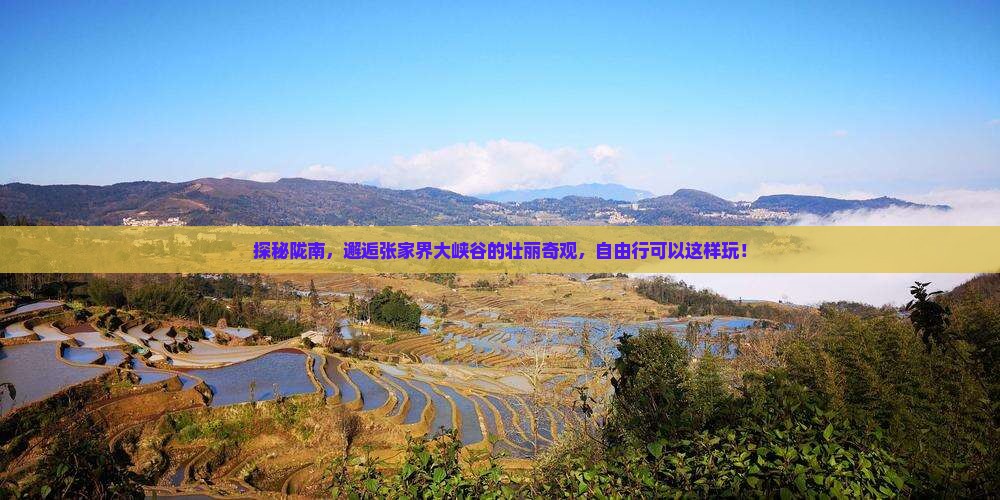 探秘陇南，邂逅张家界大峡谷的壮丽奇观，自由行可以这样玩！