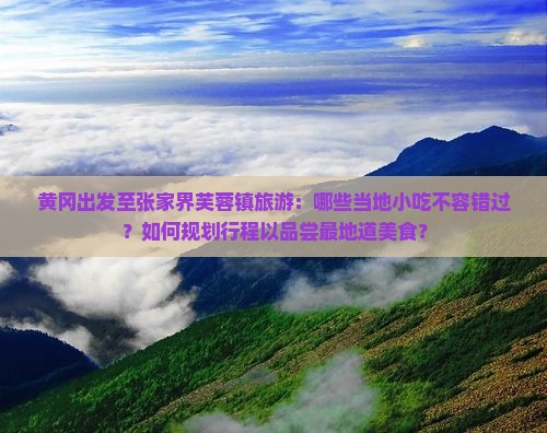 黄冈去张家界芙蓉镇旅游小吃